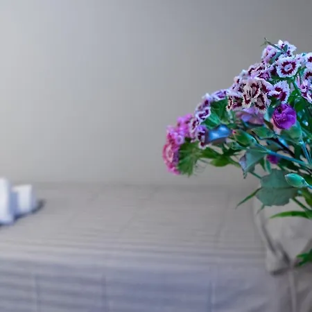 Casa Ariston Sassari